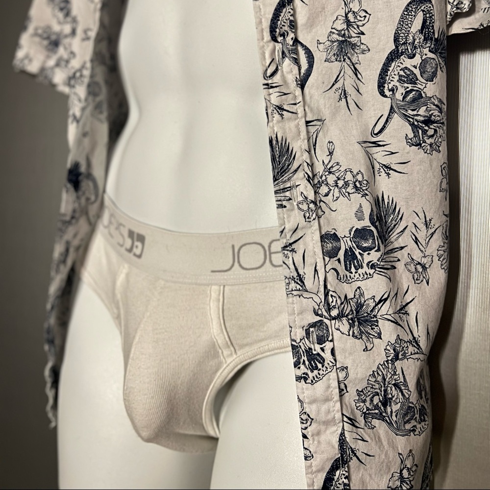 Joe’s underwear briefs, white.